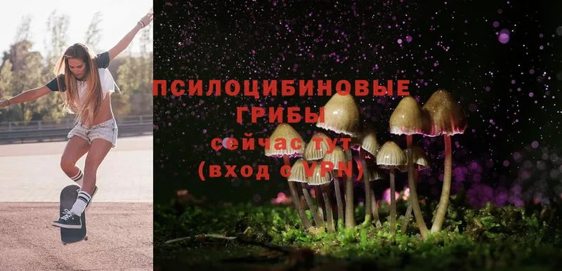 наркошоп  Игарка  Галлюциногенные грибы Magic Shrooms 